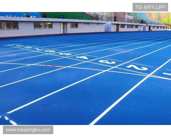 全面解析篮球规则中 24 秒违例的判定标准与具体执行流程细节